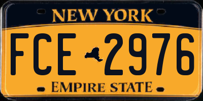 NY license plate FCE2976