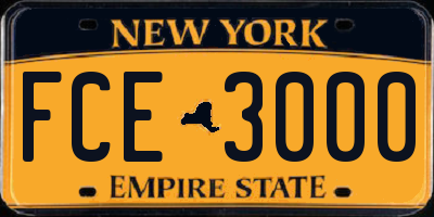 NY license plate FCE3000