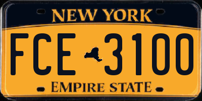 NY license plate FCE3100