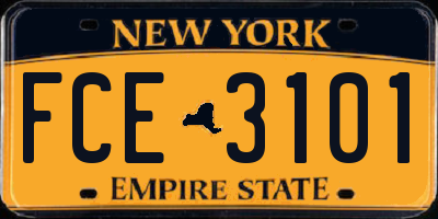 NY license plate FCE3101