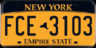 NY license plate FCE3103