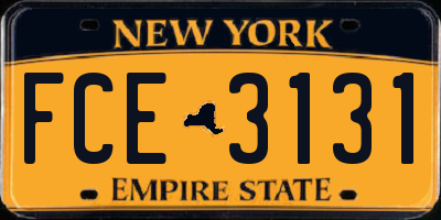 NY license plate FCE3131