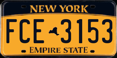 NY license plate FCE3153