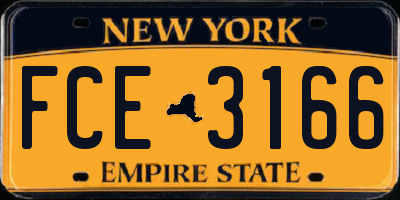 NY license plate FCE3166