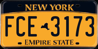 NY license plate FCE3173
