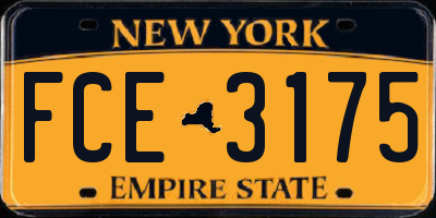 NY license plate FCE3175