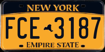 NY license plate FCE3187