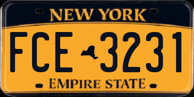 NY license plate FCE3231