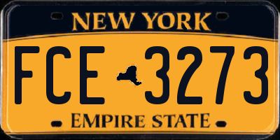 NY license plate FCE3273