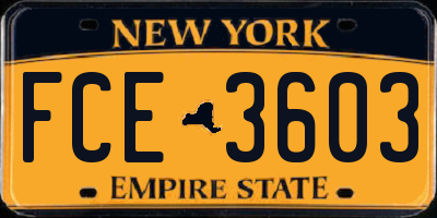 NY license plate FCE3603