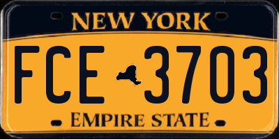 NY license plate FCE3703