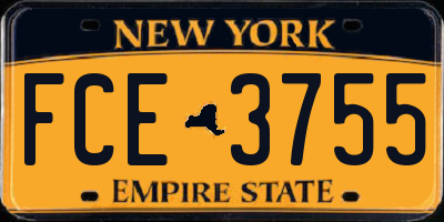 NY license plate FCE3755