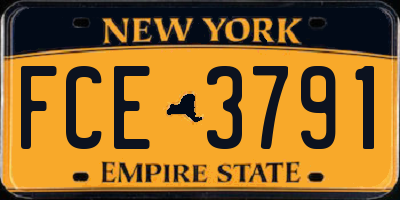 NY license plate FCE3791