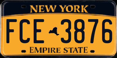 NY license plate FCE3876