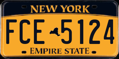 NY license plate FCE5124