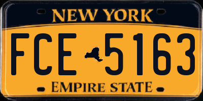 NY license plate FCE5163