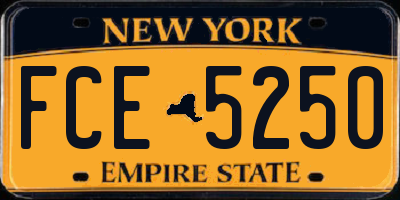 NY license plate FCE5250