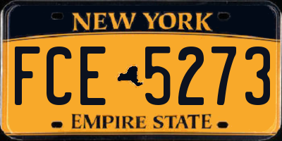 NY license plate FCE5273