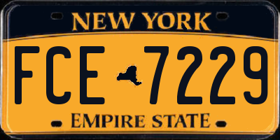 NY license plate FCE7229