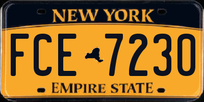 NY license plate FCE7230