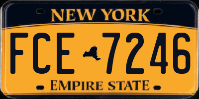 NY license plate FCE7246