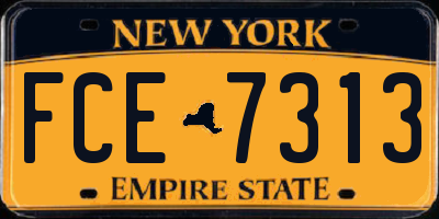 NY license plate FCE7313