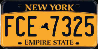 NY license plate FCE7325
