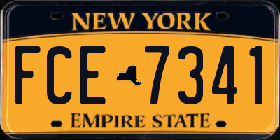 NY license plate FCE7341