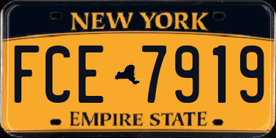 NY license plate FCE7919