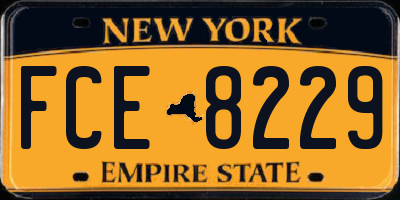NY license plate FCE8229