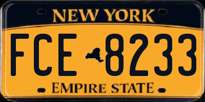 NY license plate FCE8233