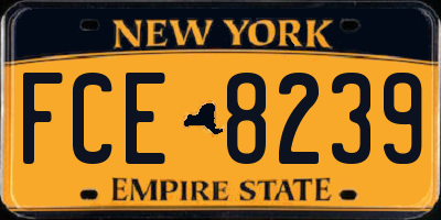 NY license plate FCE8239