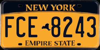 NY license plate FCE8243