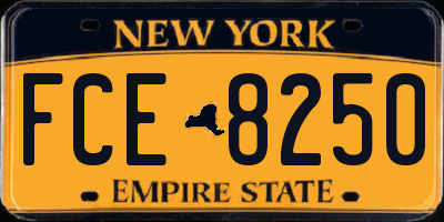 NY license plate FCE8250