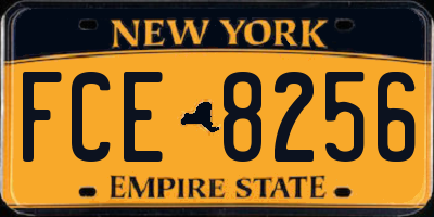 NY license plate FCE8256