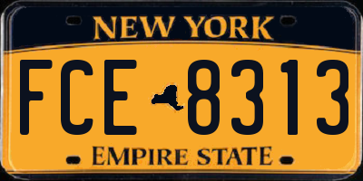 NY license plate FCE8313