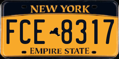 NY license plate FCE8317