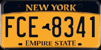 NY license plate FCE8341