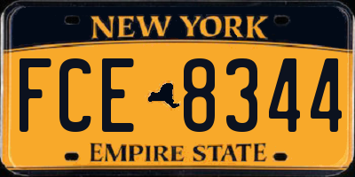 NY license plate FCE8344