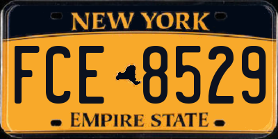 NY license plate FCE8529