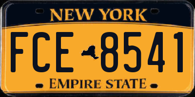 NY license plate FCE8541