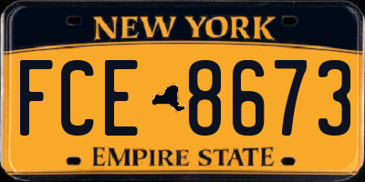 NY license plate FCE8673