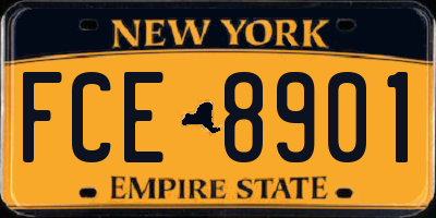 NY license plate FCE8901