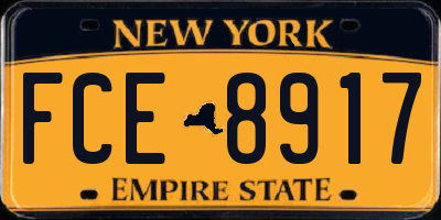 NY license plate FCE8917
