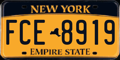 NY license plate FCE8919