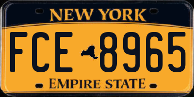 NY license plate FCE8965