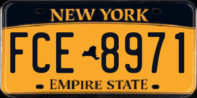 NY license plate FCE8971