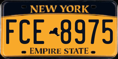 NY license plate FCE8975