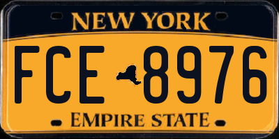 NY license plate FCE8976
