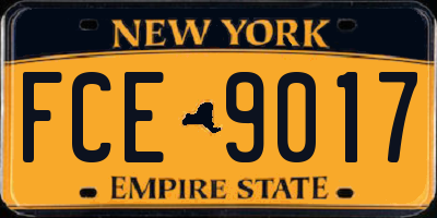 NY license plate FCE9017